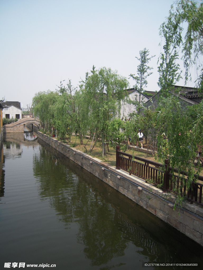 荡口风景