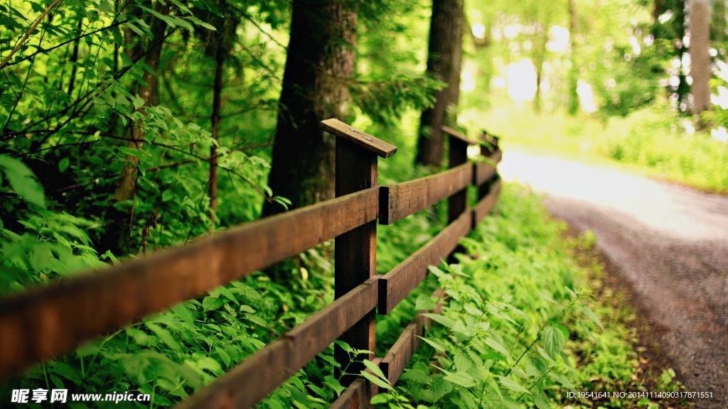森林栅栏