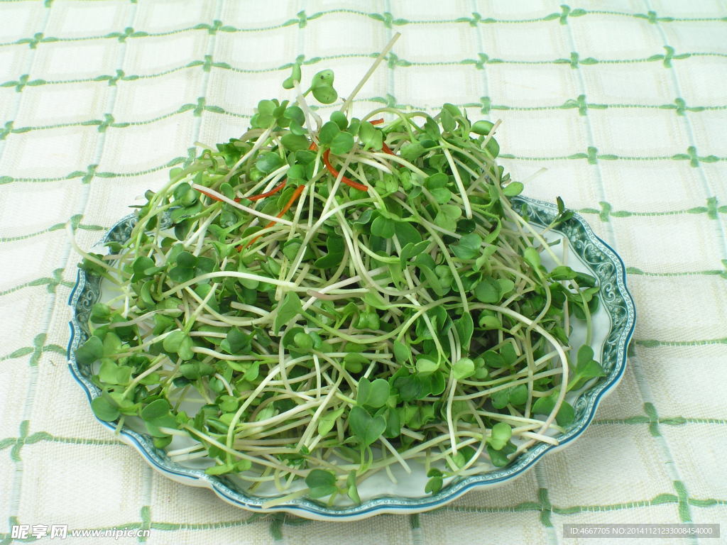 萝卜苗