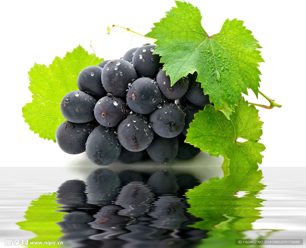 水中葡萄