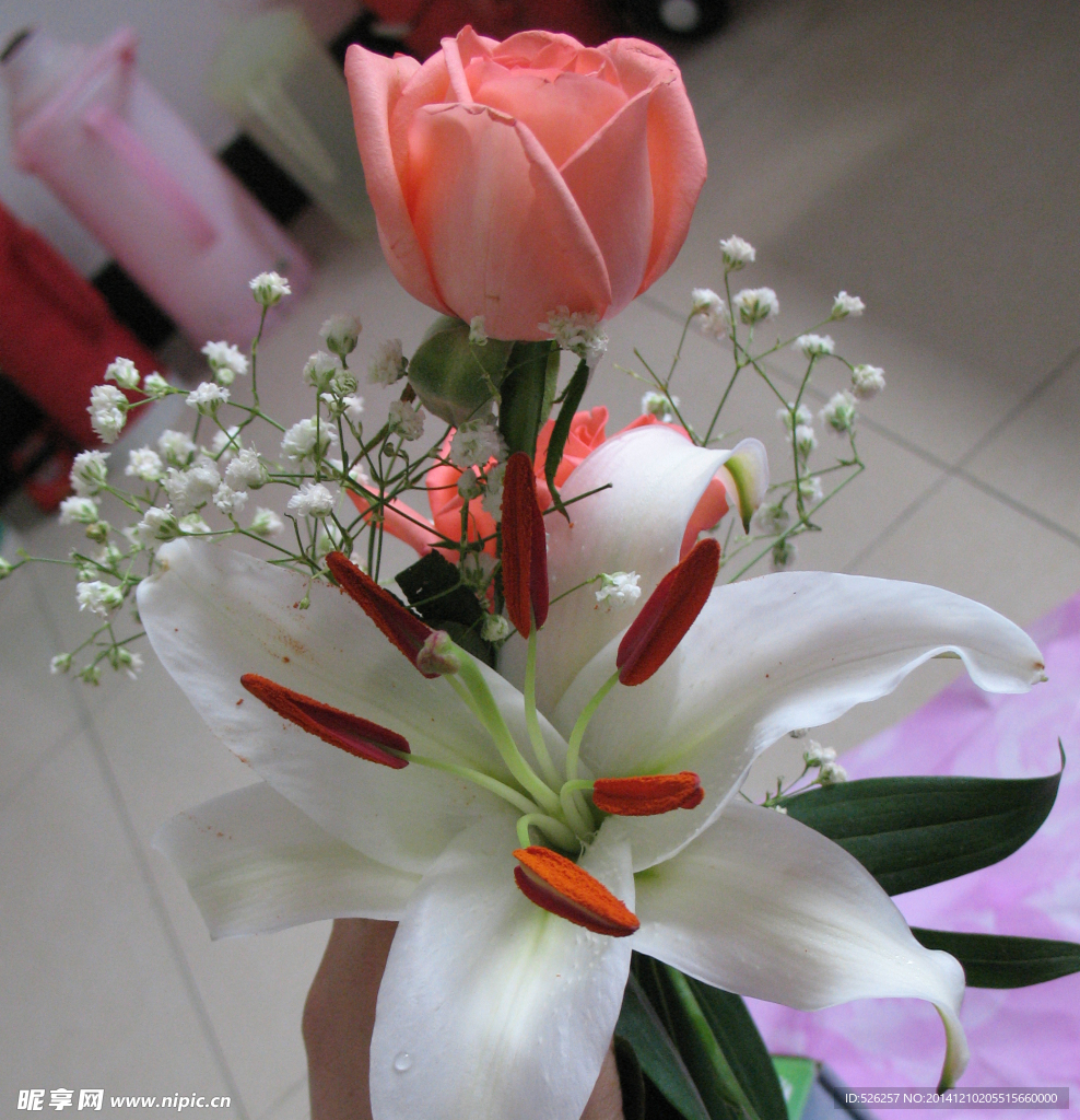 玫瑰百合