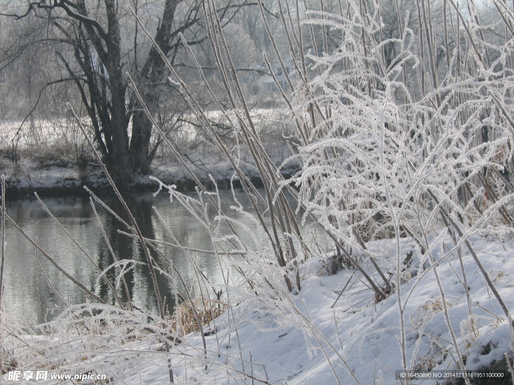 雪景