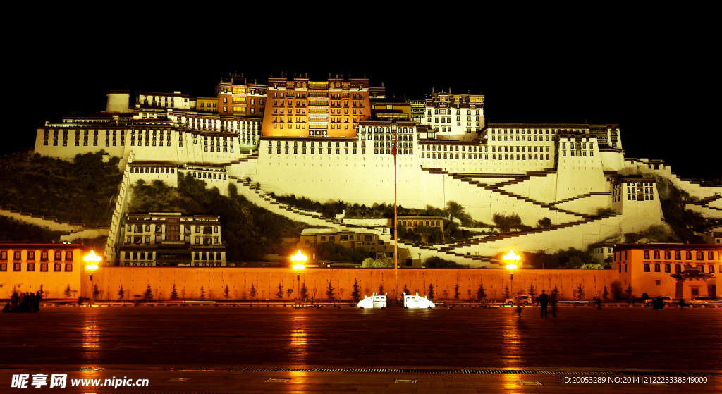 布达拉宫夜景