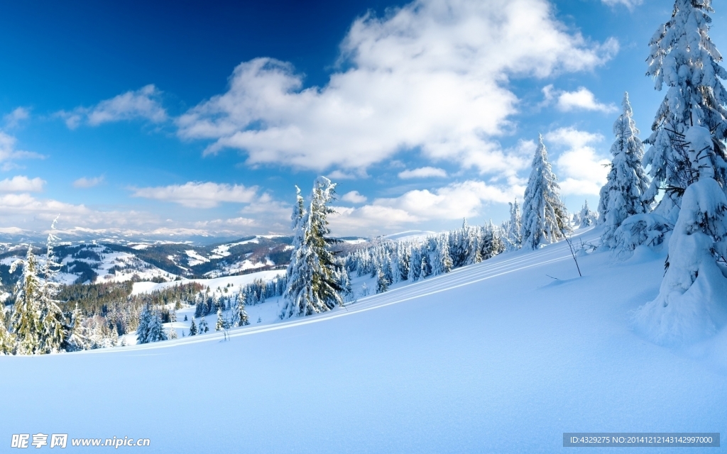 冬季雪景