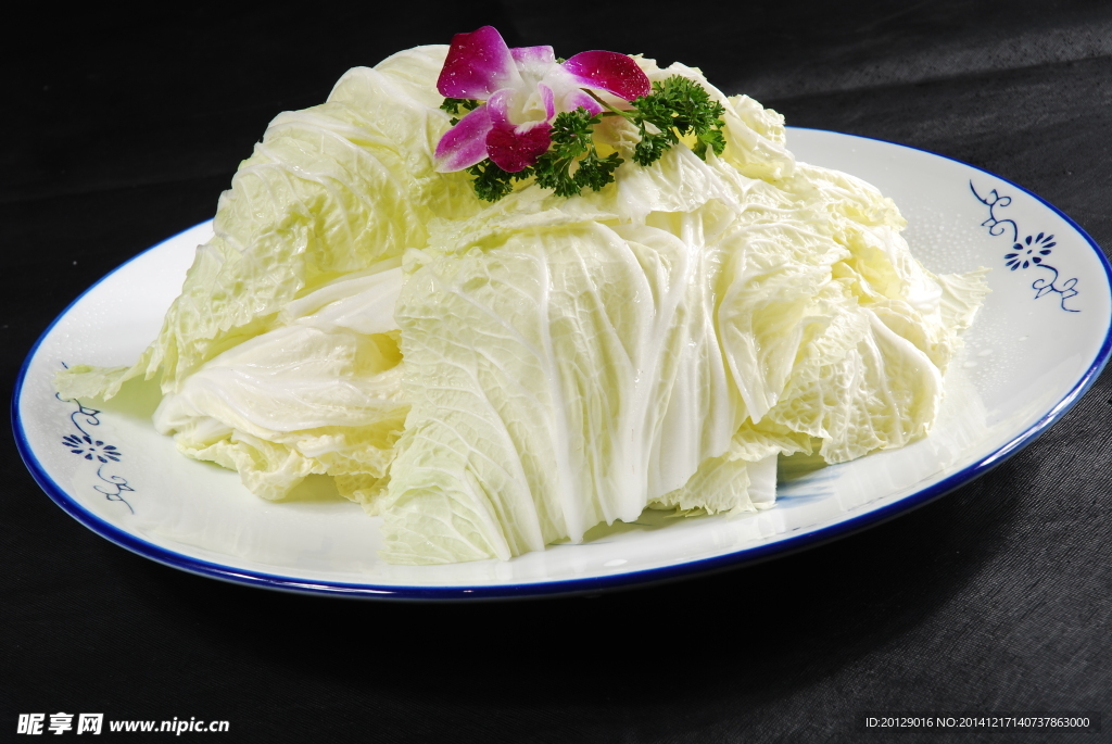 大白菜