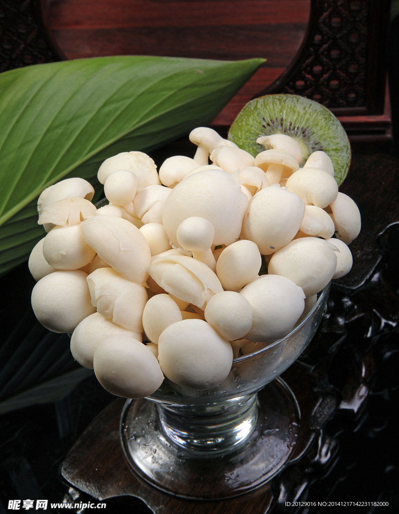 海鲜菇