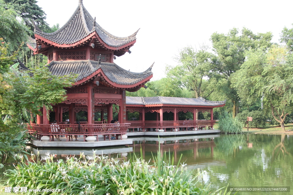 池边风景