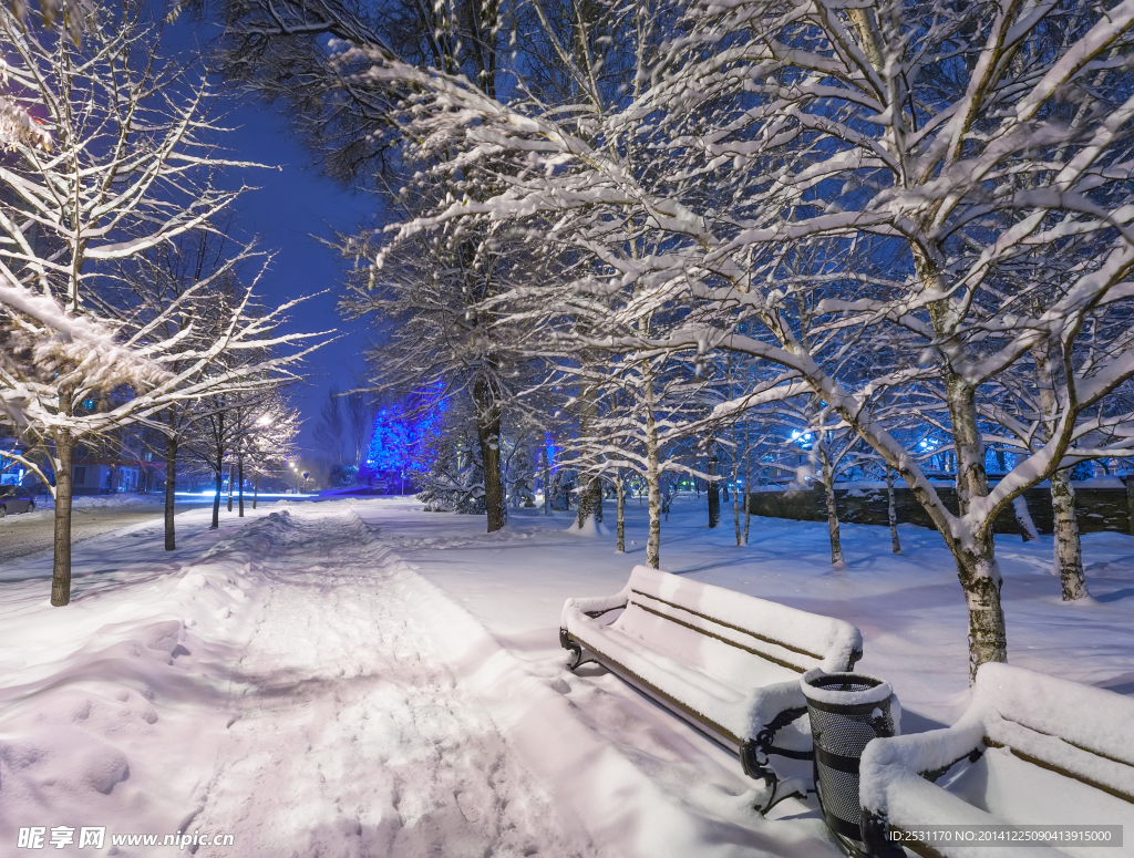雪景
