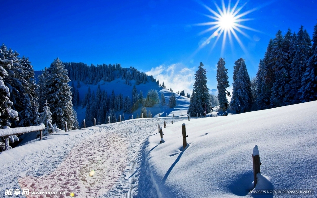 寒冬雪景