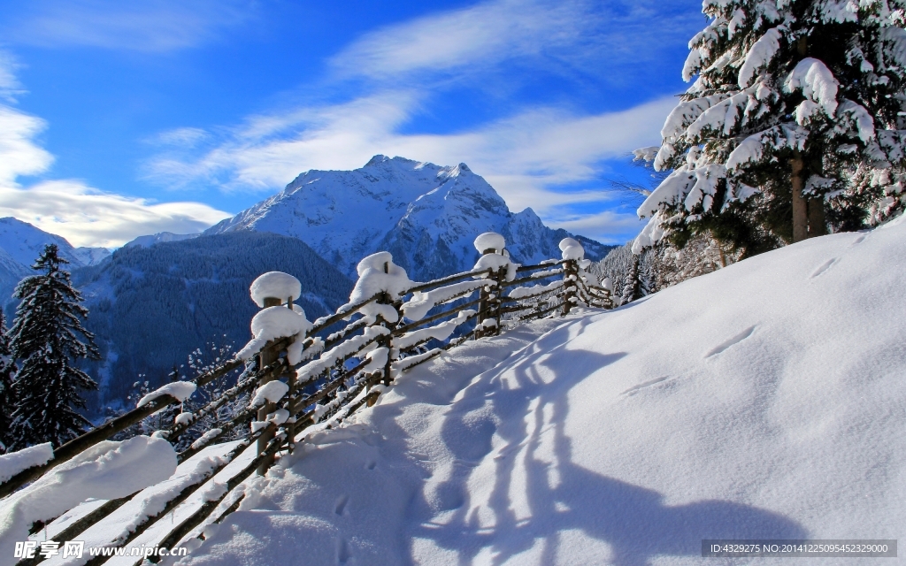 雪后风景