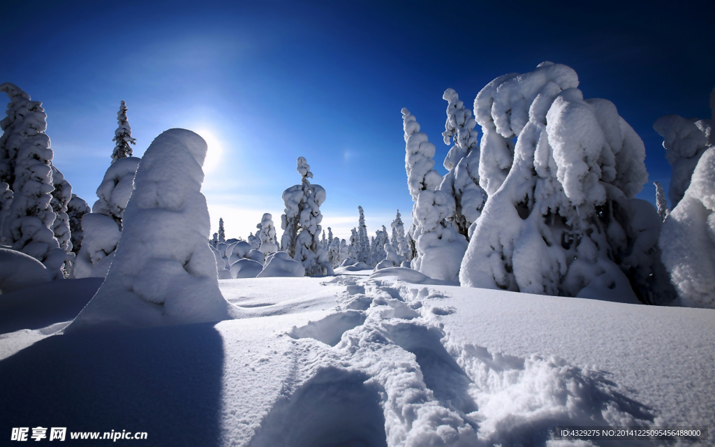 雪后风景