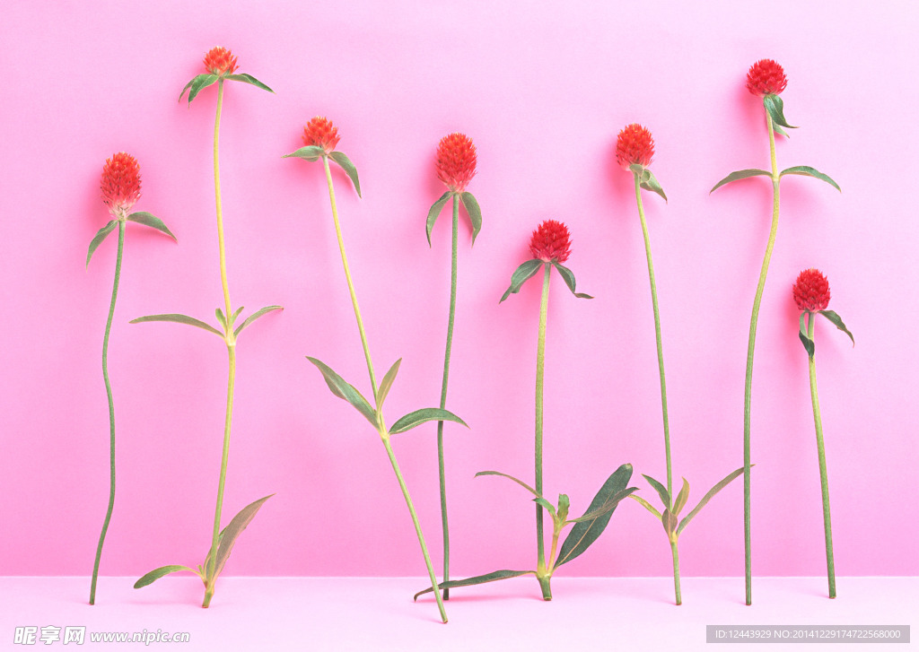 插花艺术