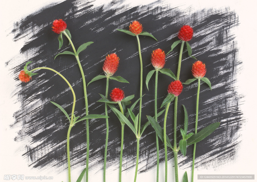 插花艺术