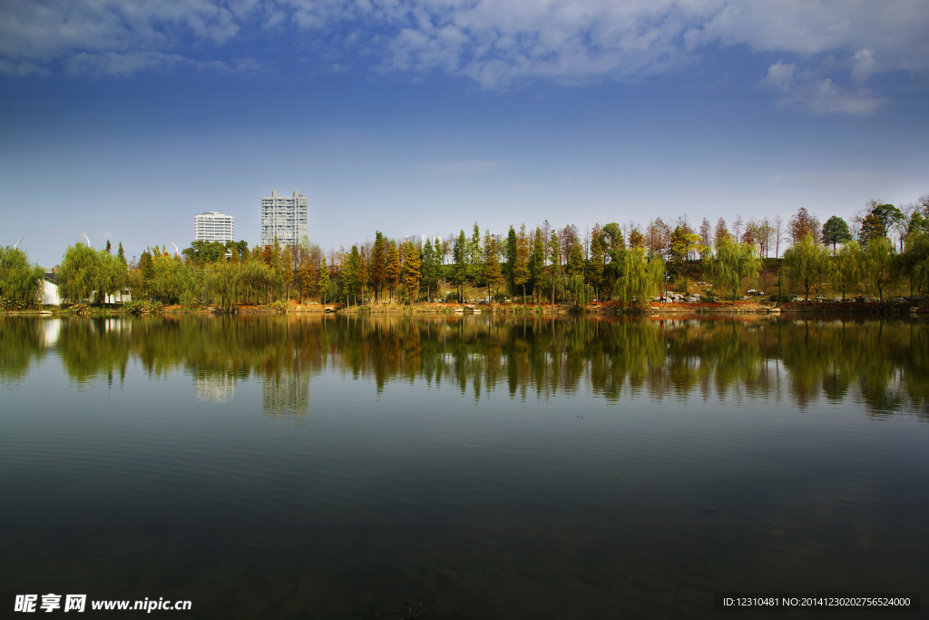 城市风景