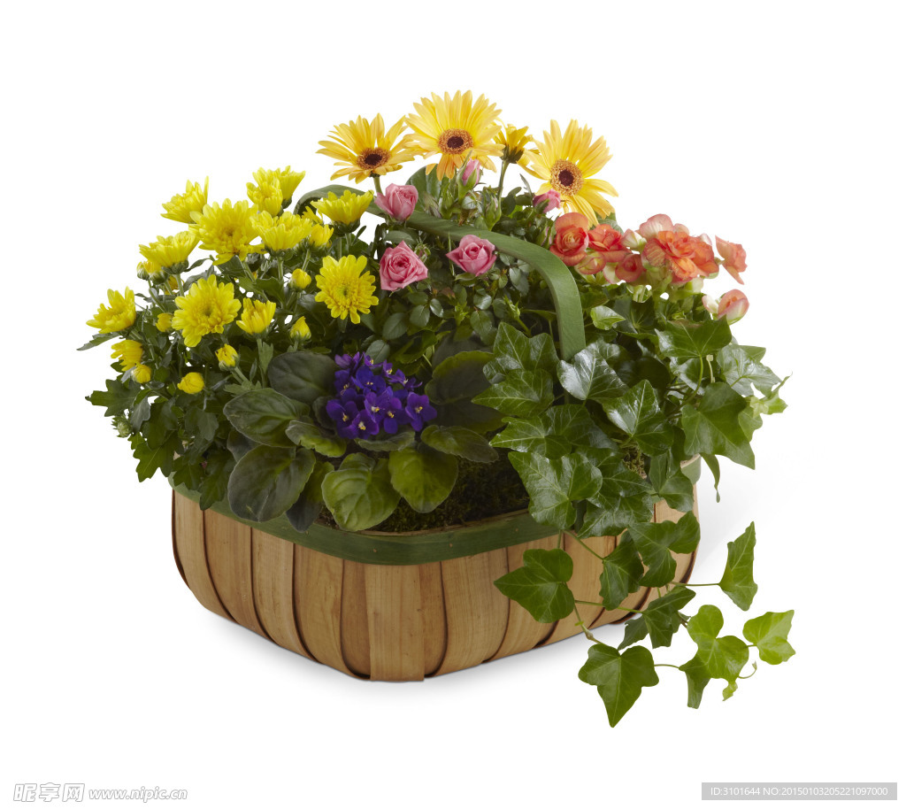 插花艺术