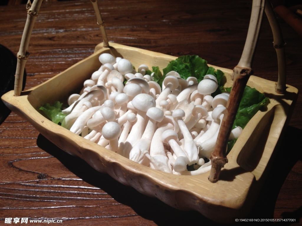 白玉菇