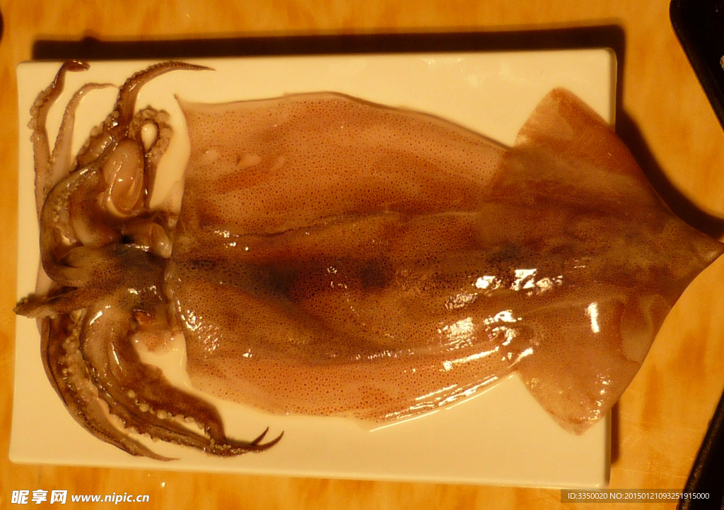 鱿鱼