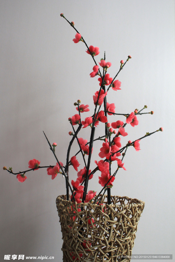 梅花