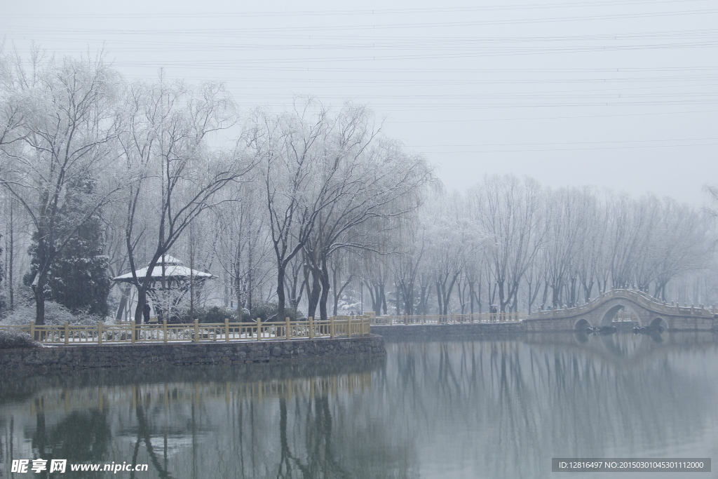 雪景