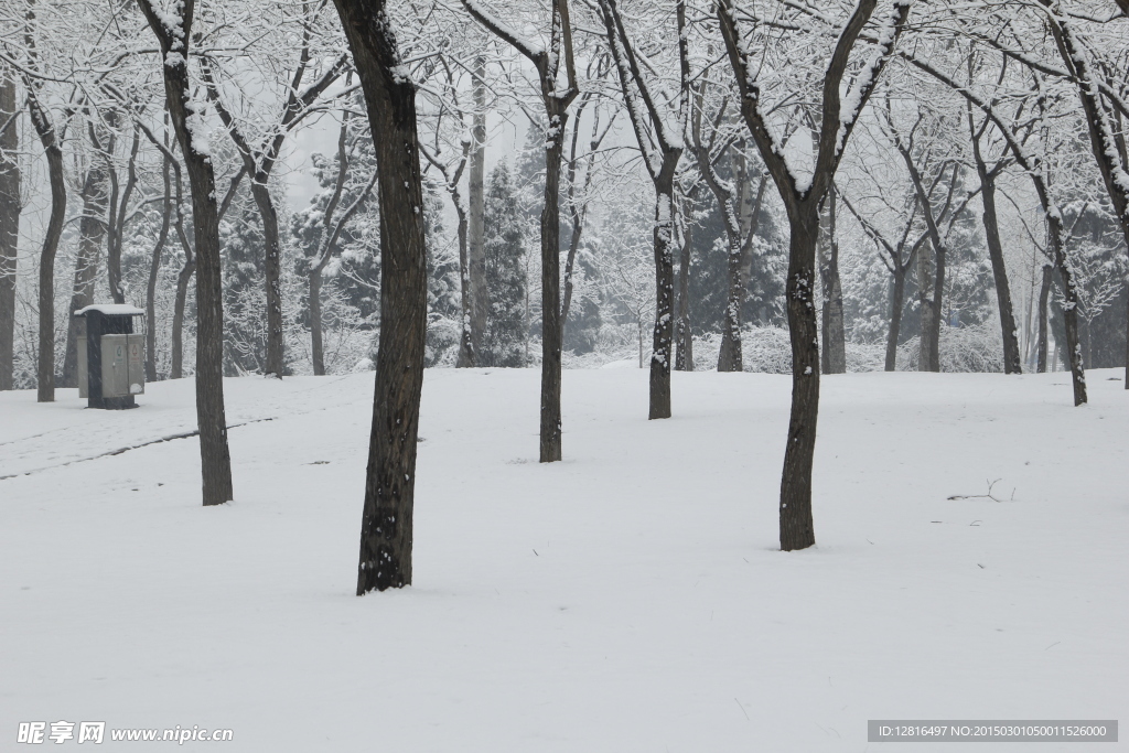 雪景