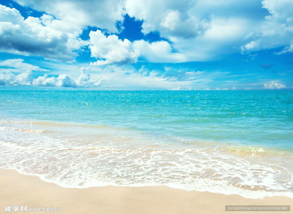 大海