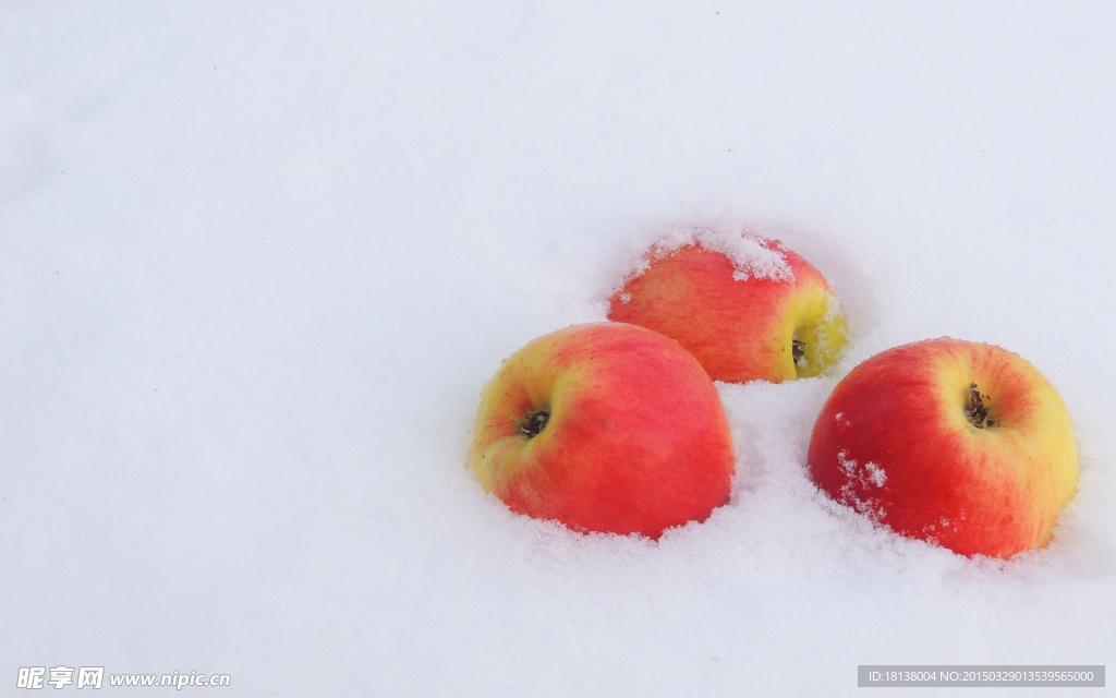 雪中苹果