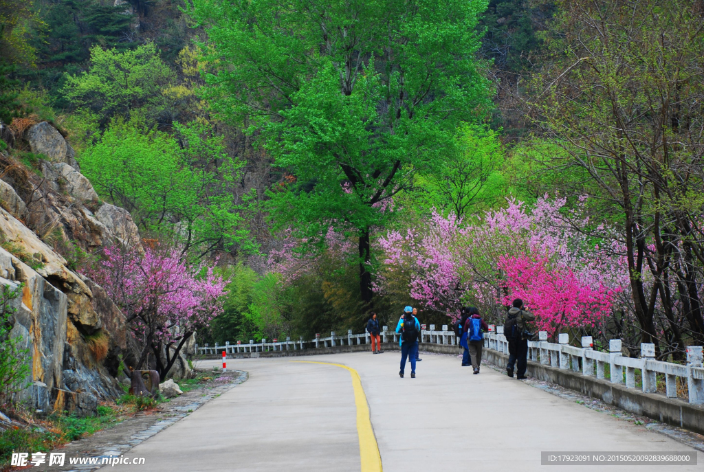 泰山桃花峪