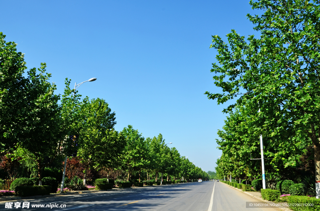 道路美景