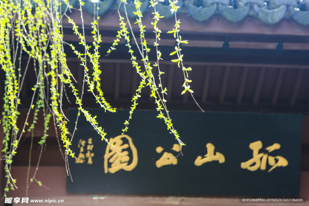 孤山公园