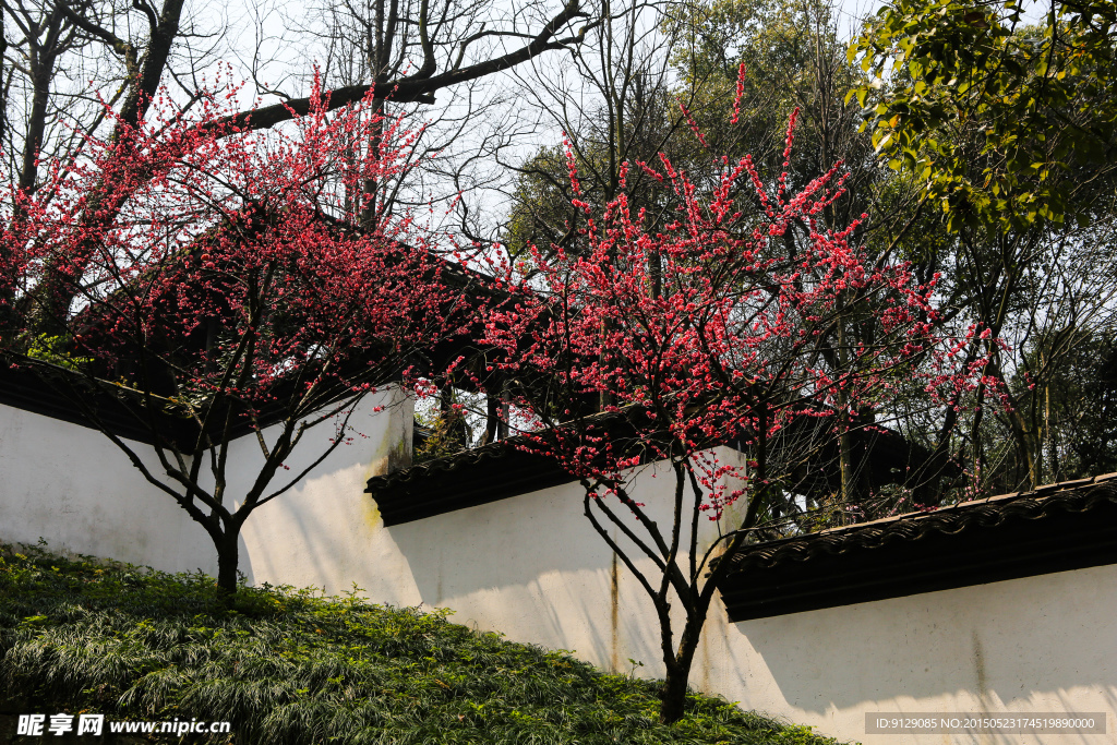孤山公园