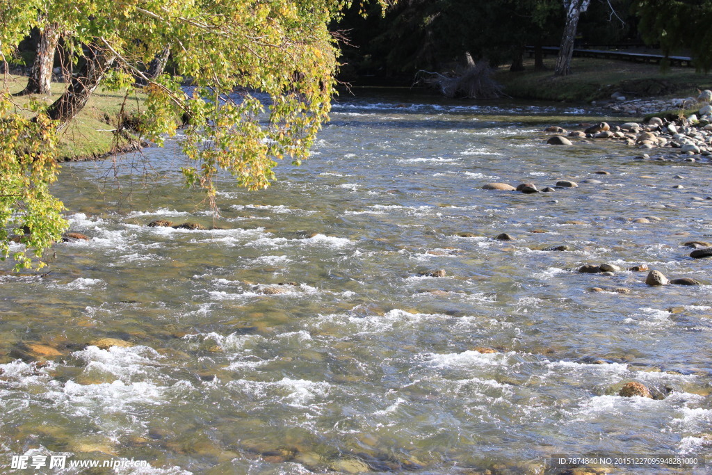 喀纳斯地质公园