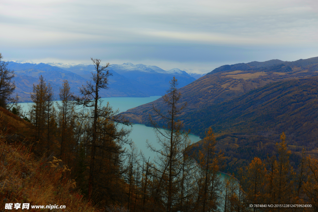 喀纳斯地质公园
