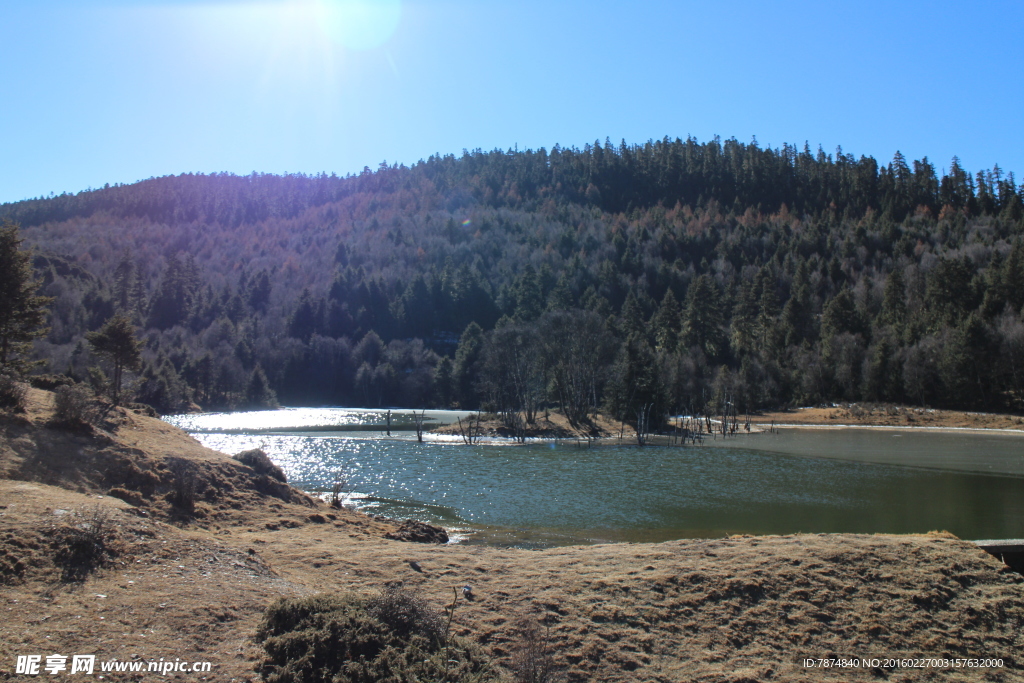 普达措森林公园