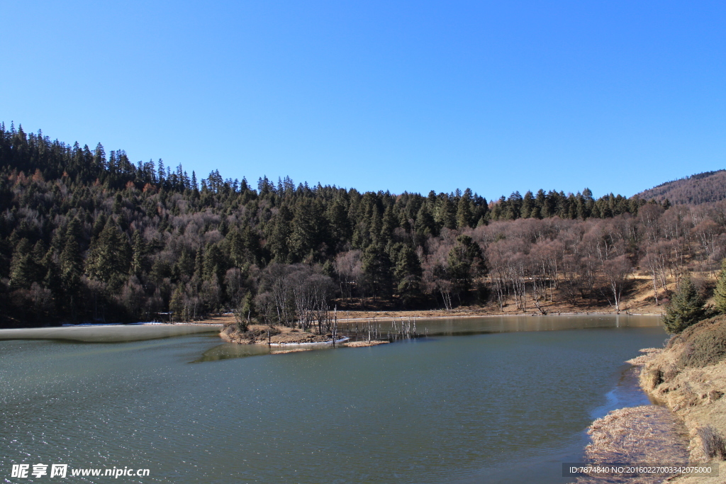 普达措森林公园