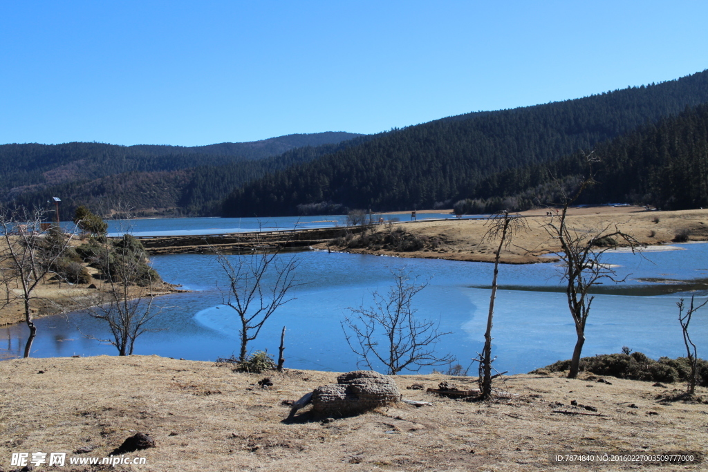 普达措森林公园