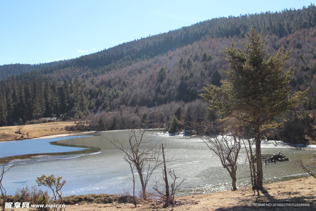 普达措森林公园