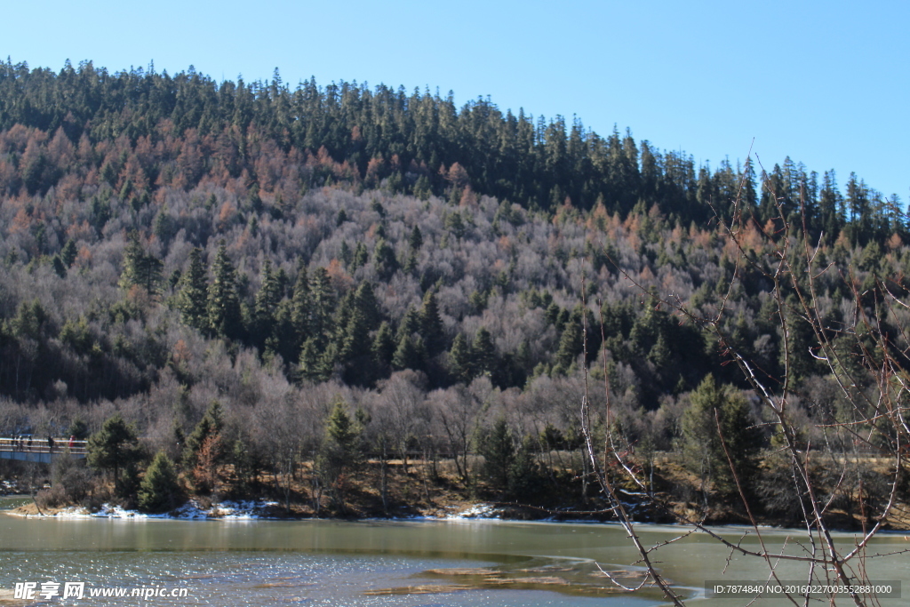 普达措森林公园