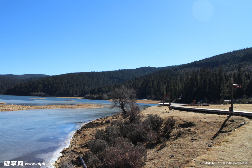 普达措森林公园