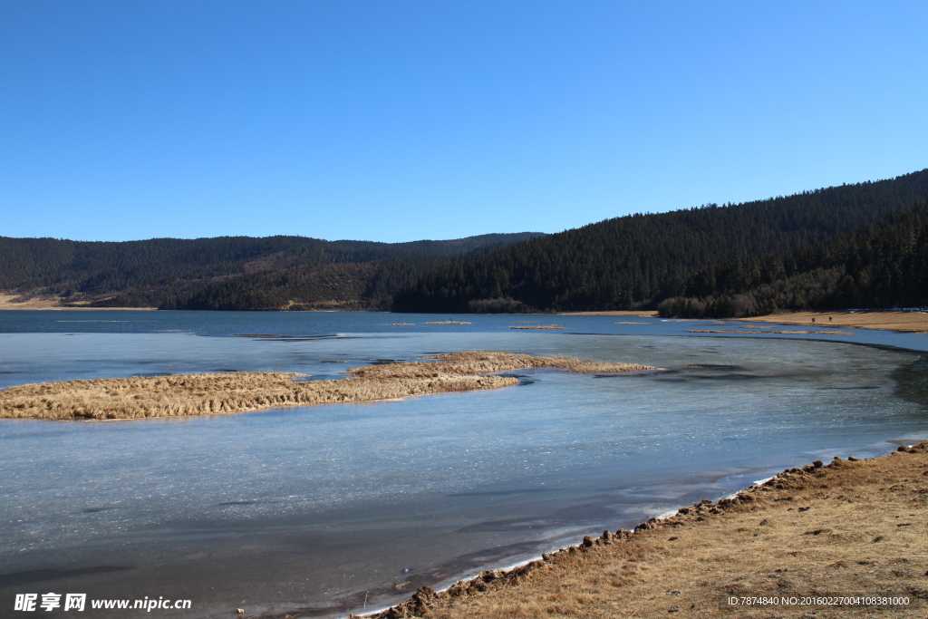 普达措森林公园