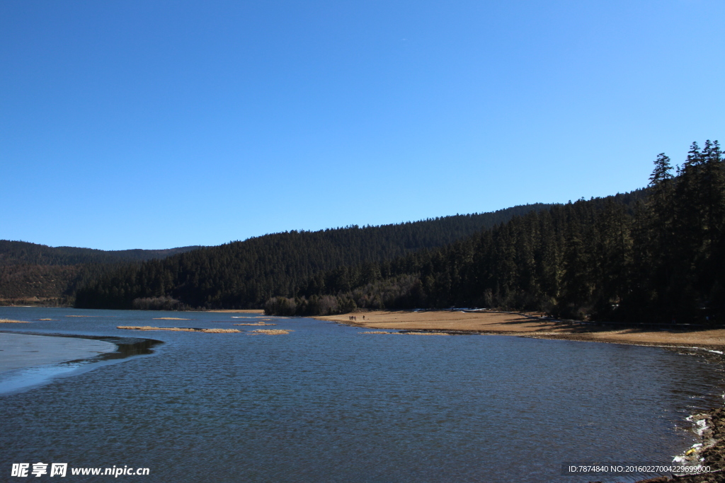 普达措森林公园