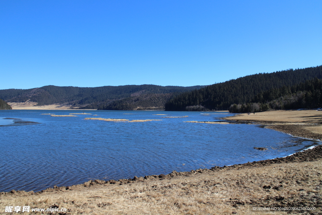 普达措森林公园