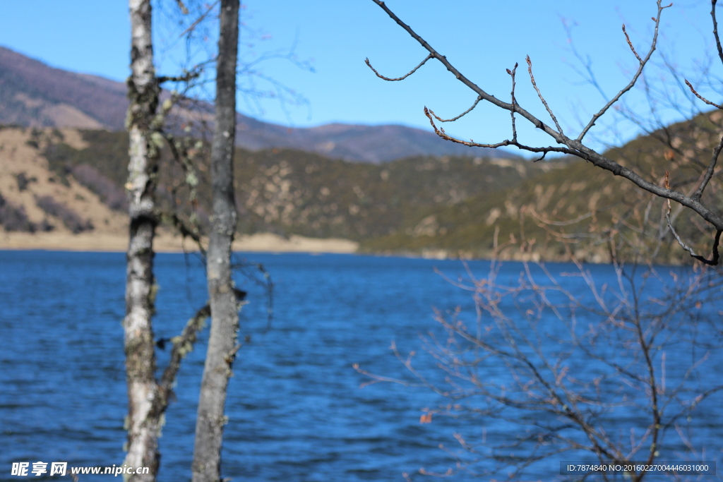 普达措森林公园