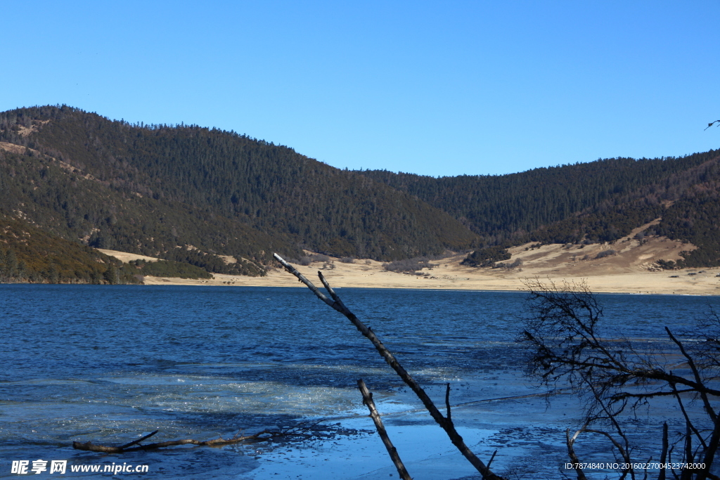 普达措森林公园