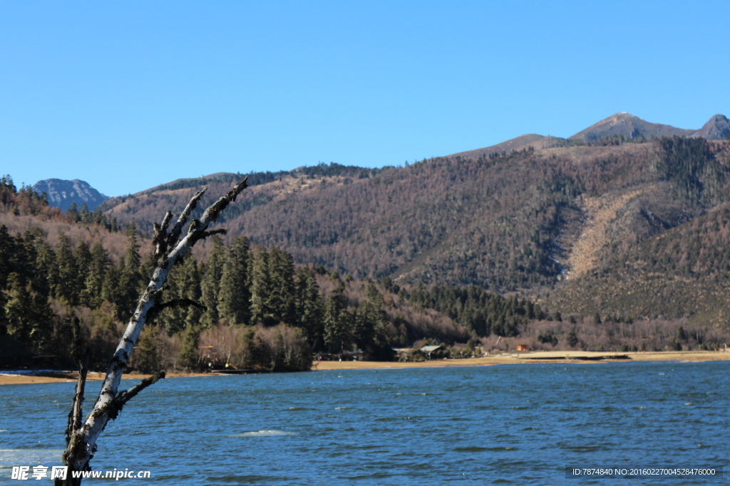 普达措森林公园
