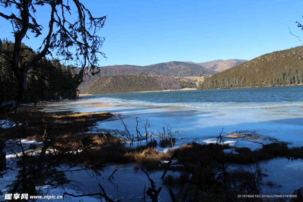 普达措森林公园