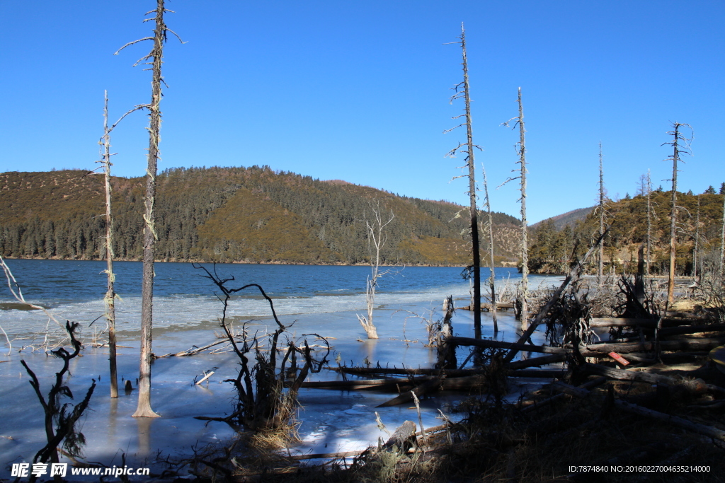 普达措森林公园