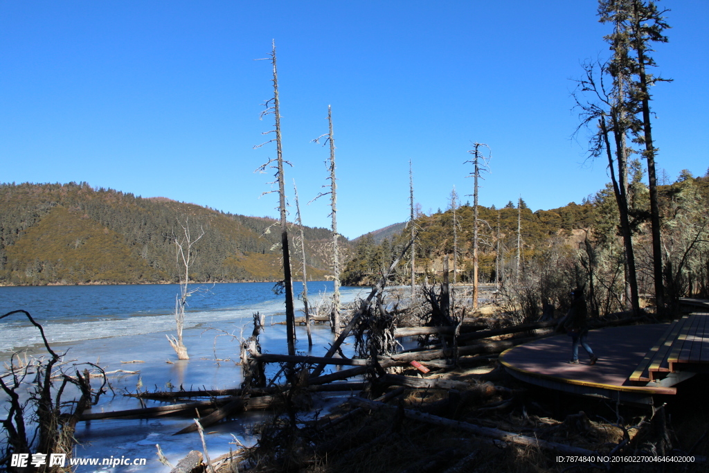 普达措森林公园