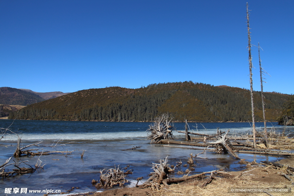 普达措森林公园