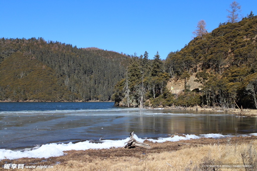 普达措森林公园