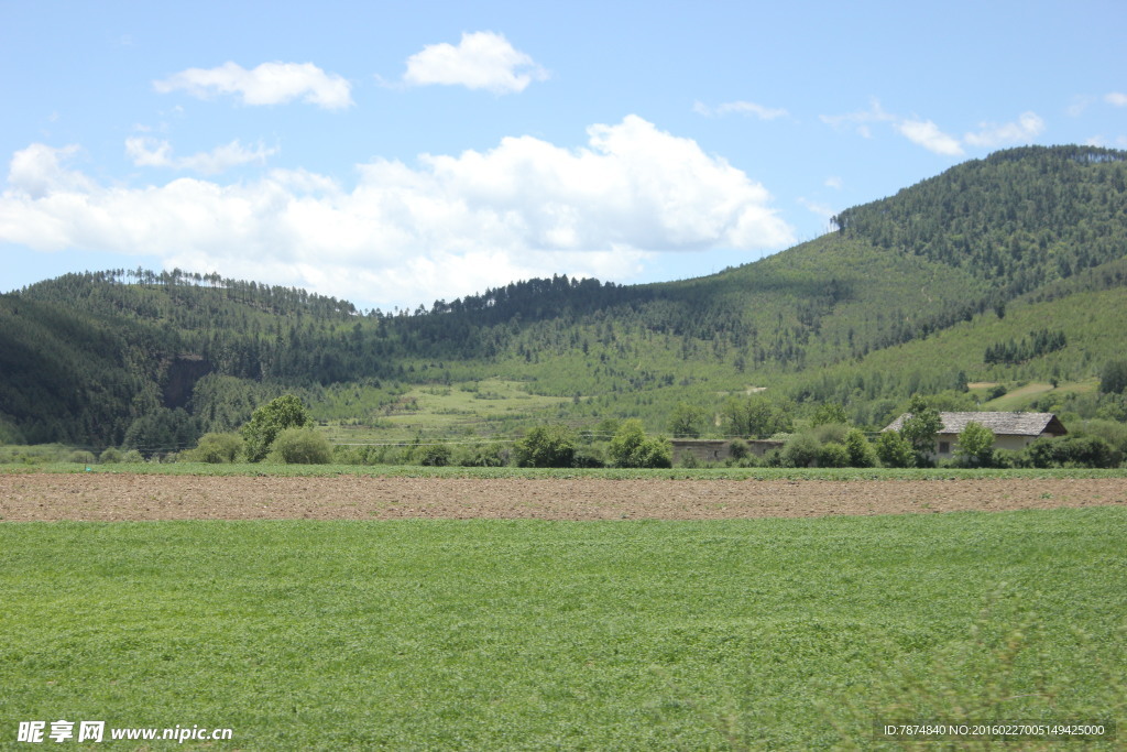 普达措森林公园